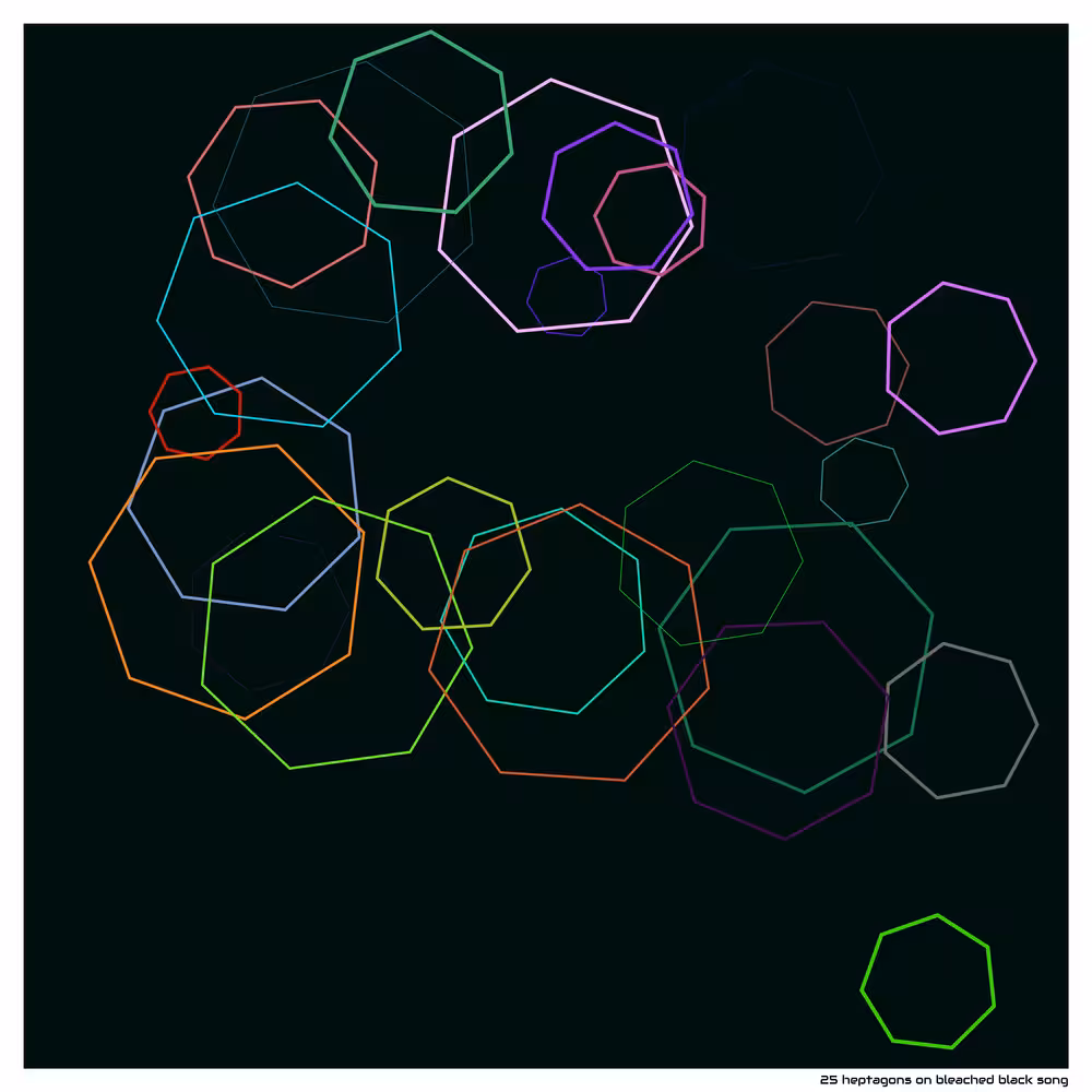 25 heptagons on bleached black song