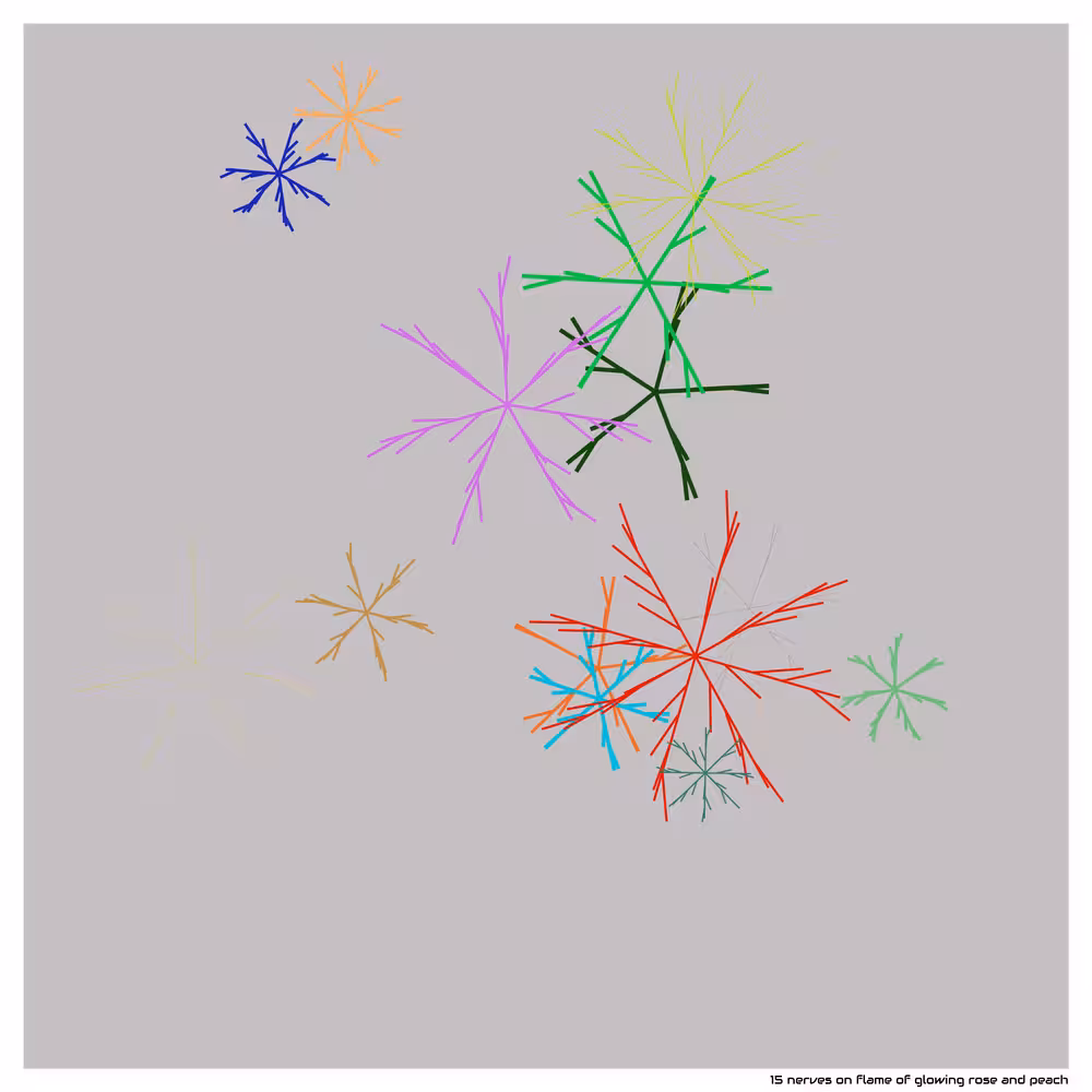 15 nerves on flame of glowing rose and peach