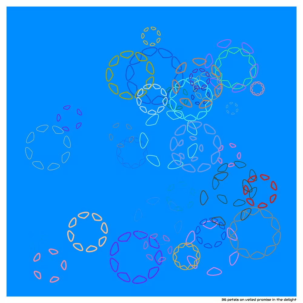 36 petals on veiled promise in the delight