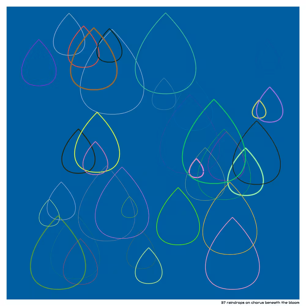 37 raindrops on chorus beneath the bloom