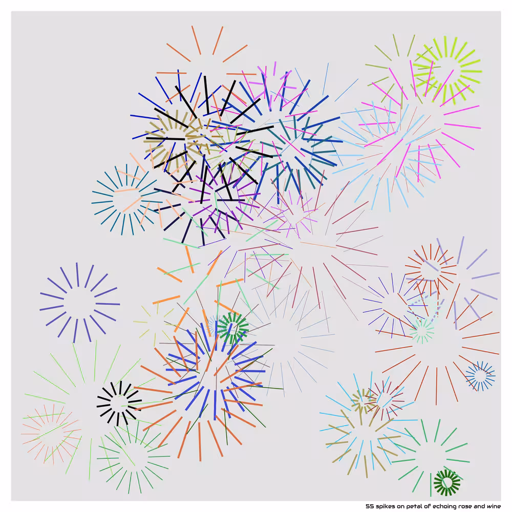 55 spikes on petal of echoing rose and wine