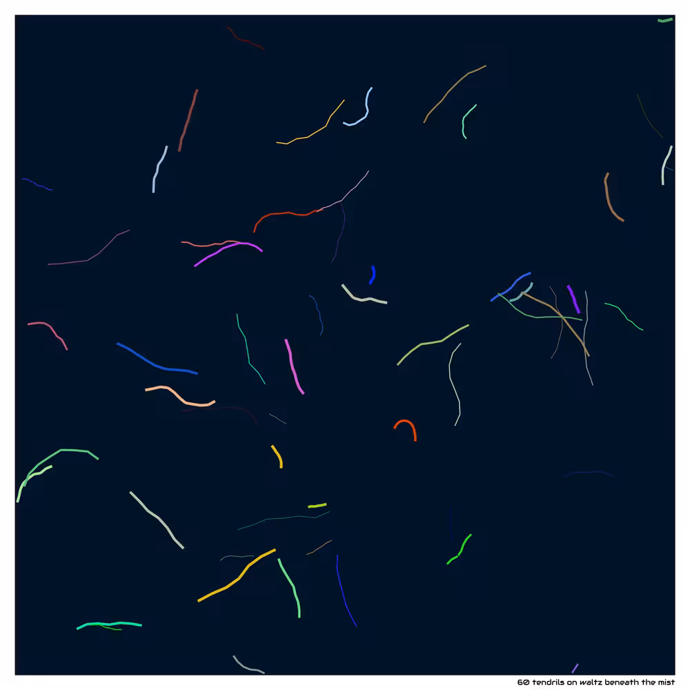 60 tendrils on waltz beneath the mist