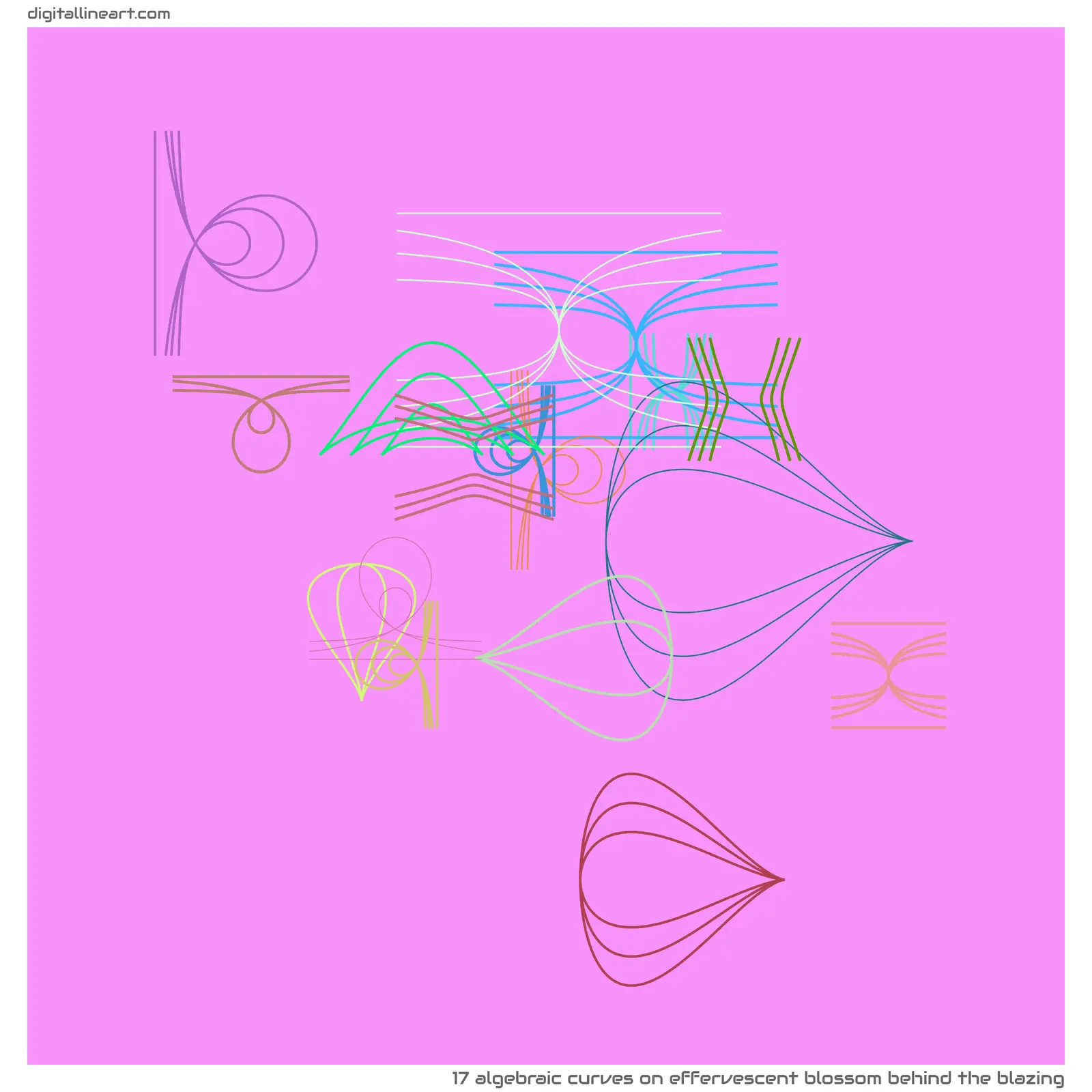 Effervescent Blossom behind the Blazing — 17 algebraic curves