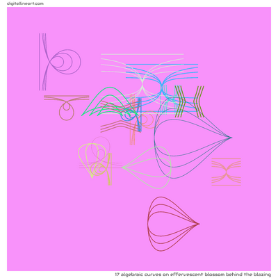 Effervescent Blossom behind the Blazing — 17 algebraic curves