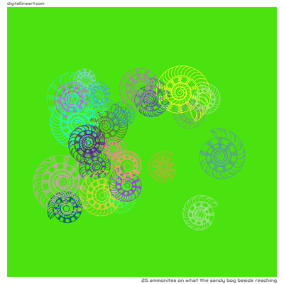 What the Sandy Bog beside Reaching — 25 ammonites