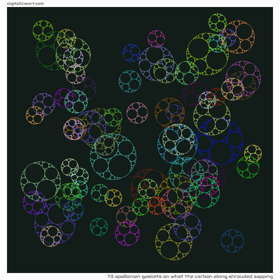 What the Carbon along Shrouded Sapping — 73 Apollonian gaskets