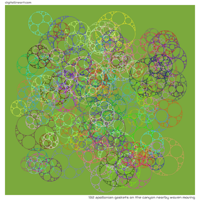 The Canyon nearby Woven Moving — 132 Apollonian gaskets