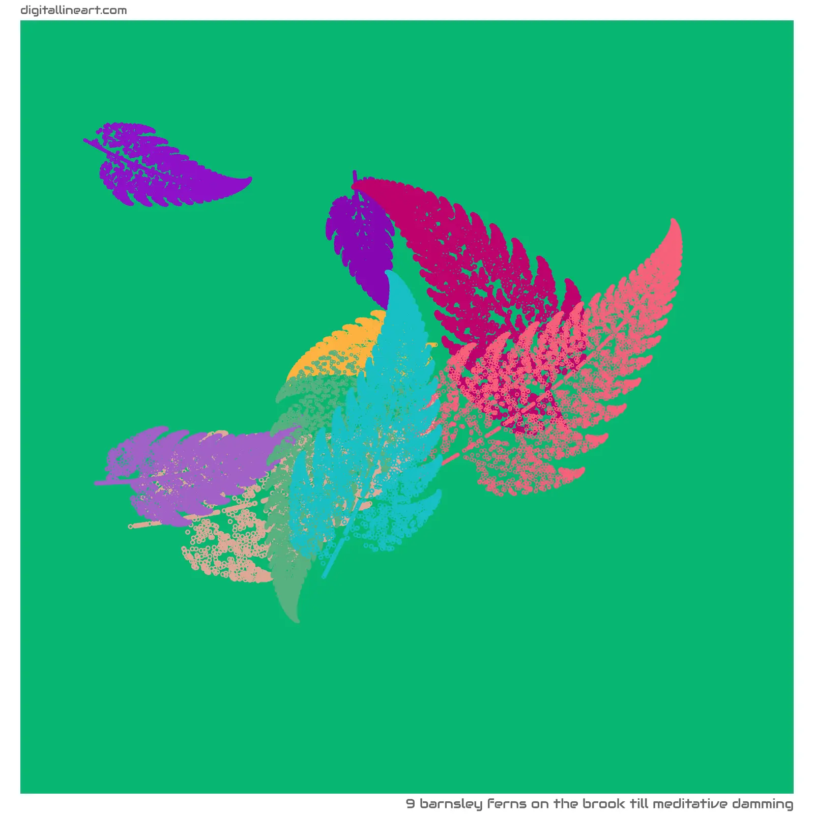 The Brook till Meditative Damming — 9 Barnsley ferns