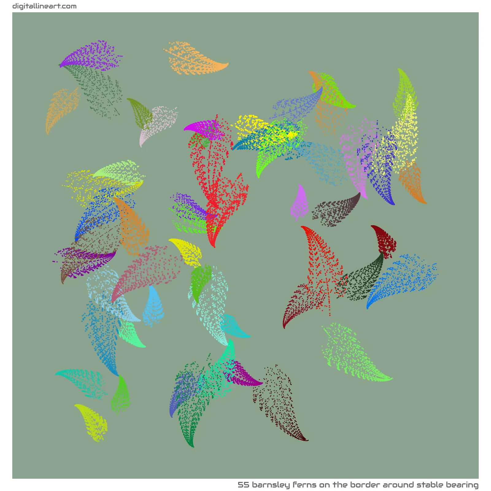 The Border Around Stable Bearing — 55 Barnsley ferns