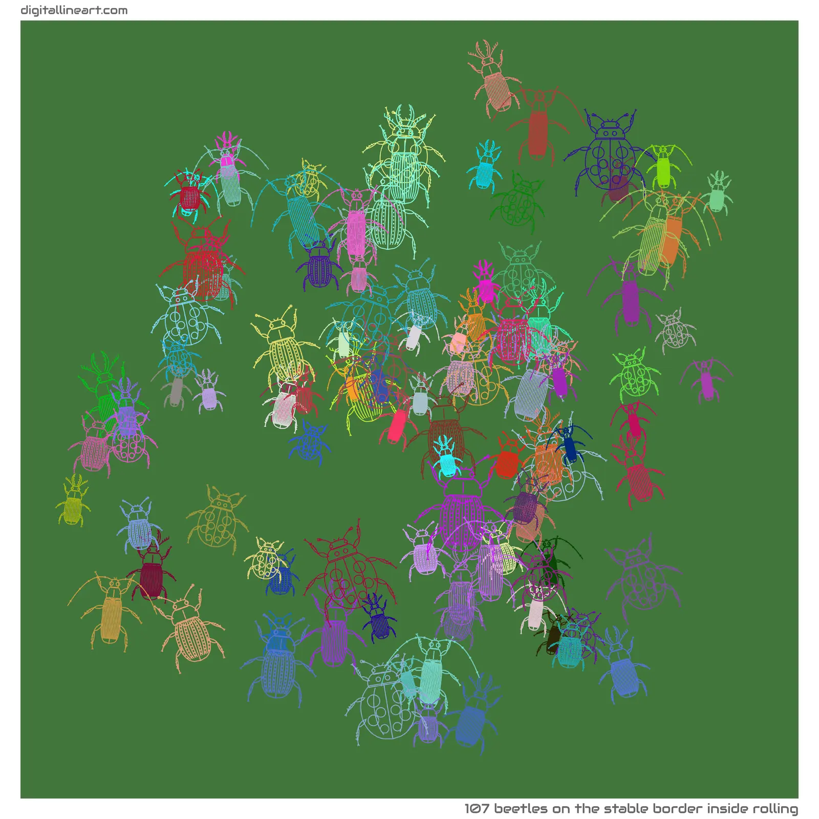 The Stable Border Inside Rolling — 107 beetles