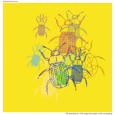 The Layered Basin with Pressing — 10 beetles