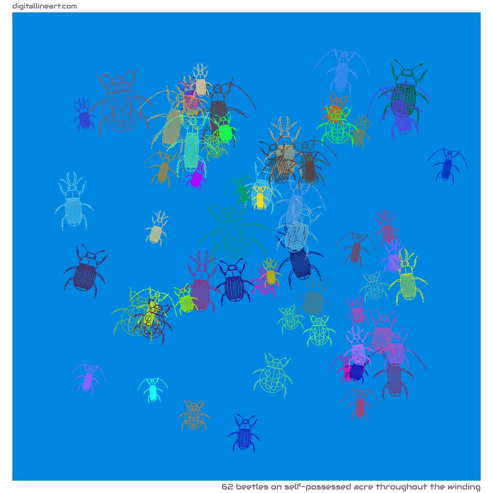 Self-possessed Acre throughout the Winding — 62 beetles