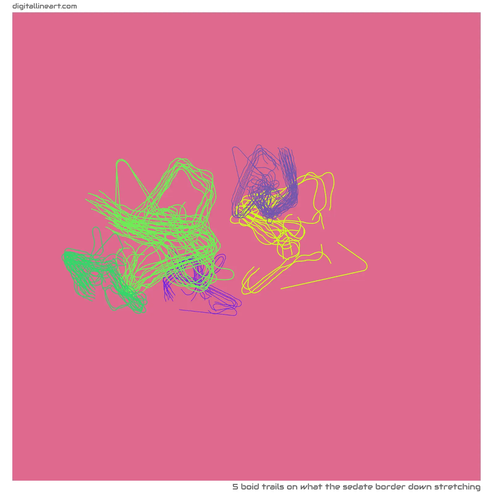 What the Sedate Border down Stretching — 5 boid trails