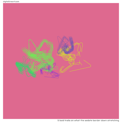 What the Sedate Border down Stretching — 5 boid trails