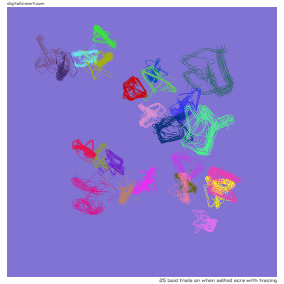 When Salted Acre with Tracing — 25 boid trails