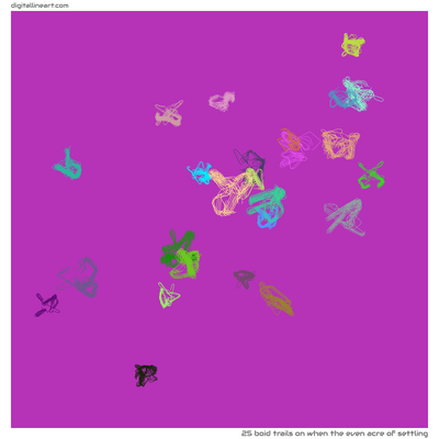 When the Even Acre of Settling — 25 boid trails