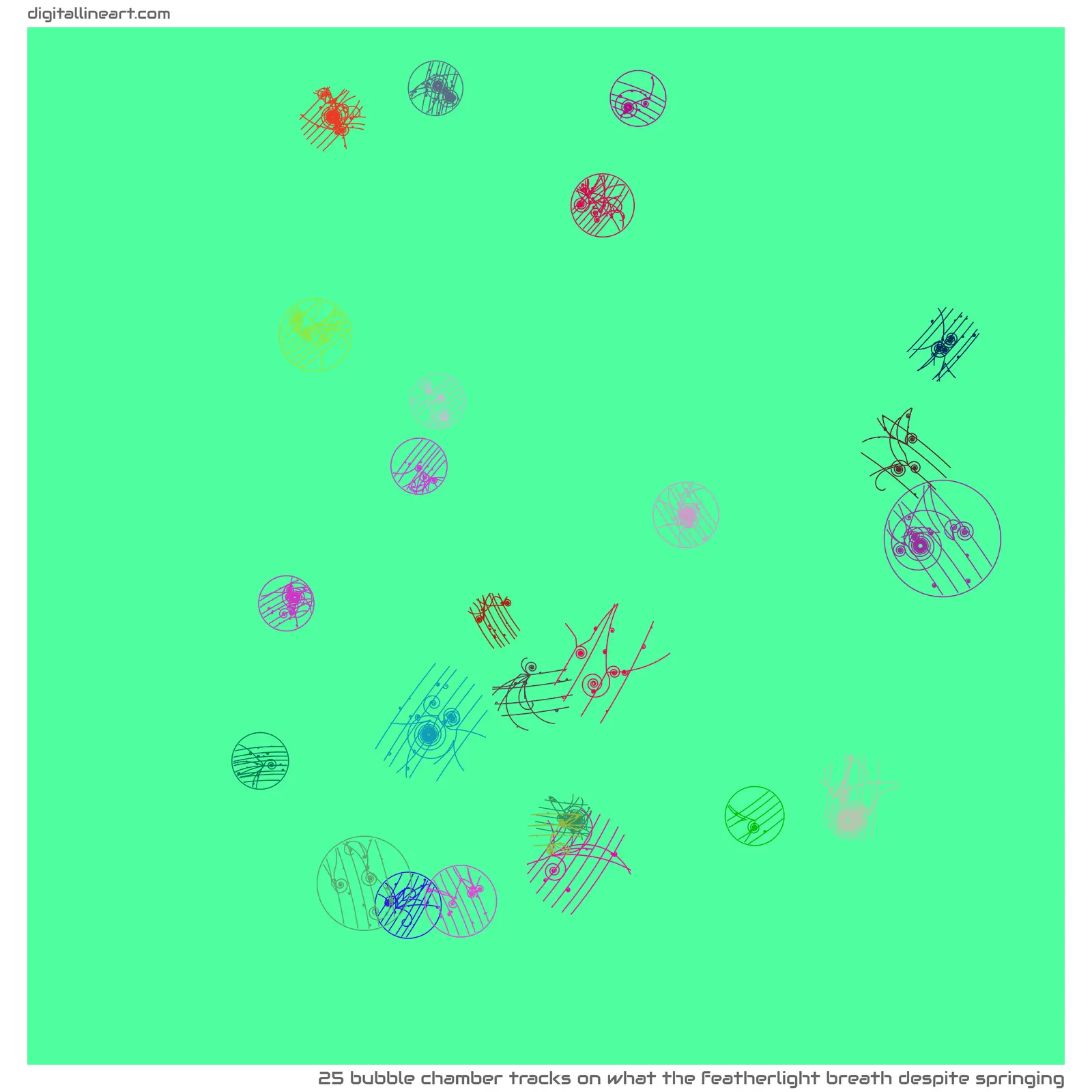 What the Featherlight Breath despite Springing — 25 bubble chamber tracks