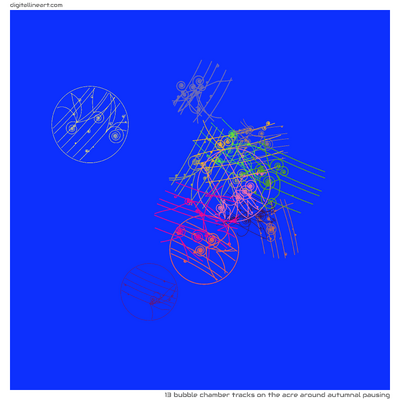 The Acre Around Autumnal Pausing — 13 bubble chamber tracks