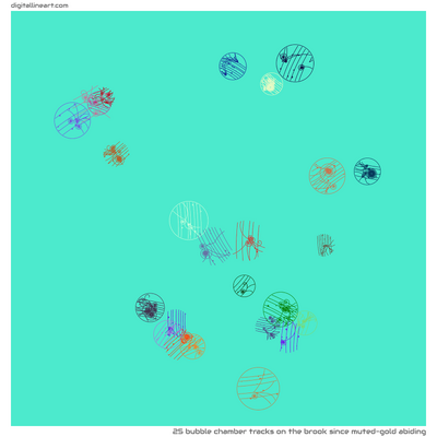 The Brook Since Muted-gold Abiding — 25 bubble chamber tracks