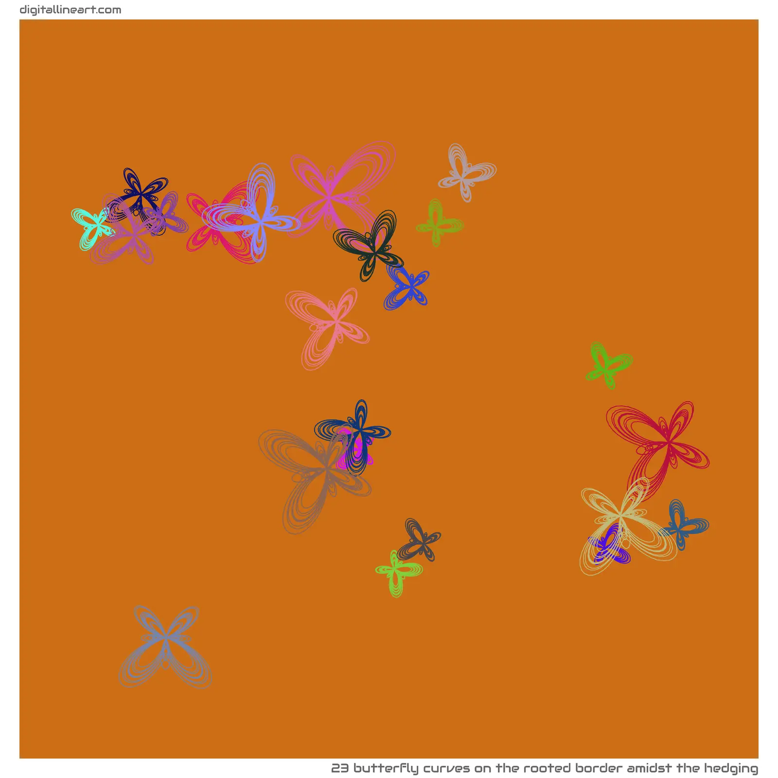 The Rooted Border amidst the Hedging — 23 butterfly curves