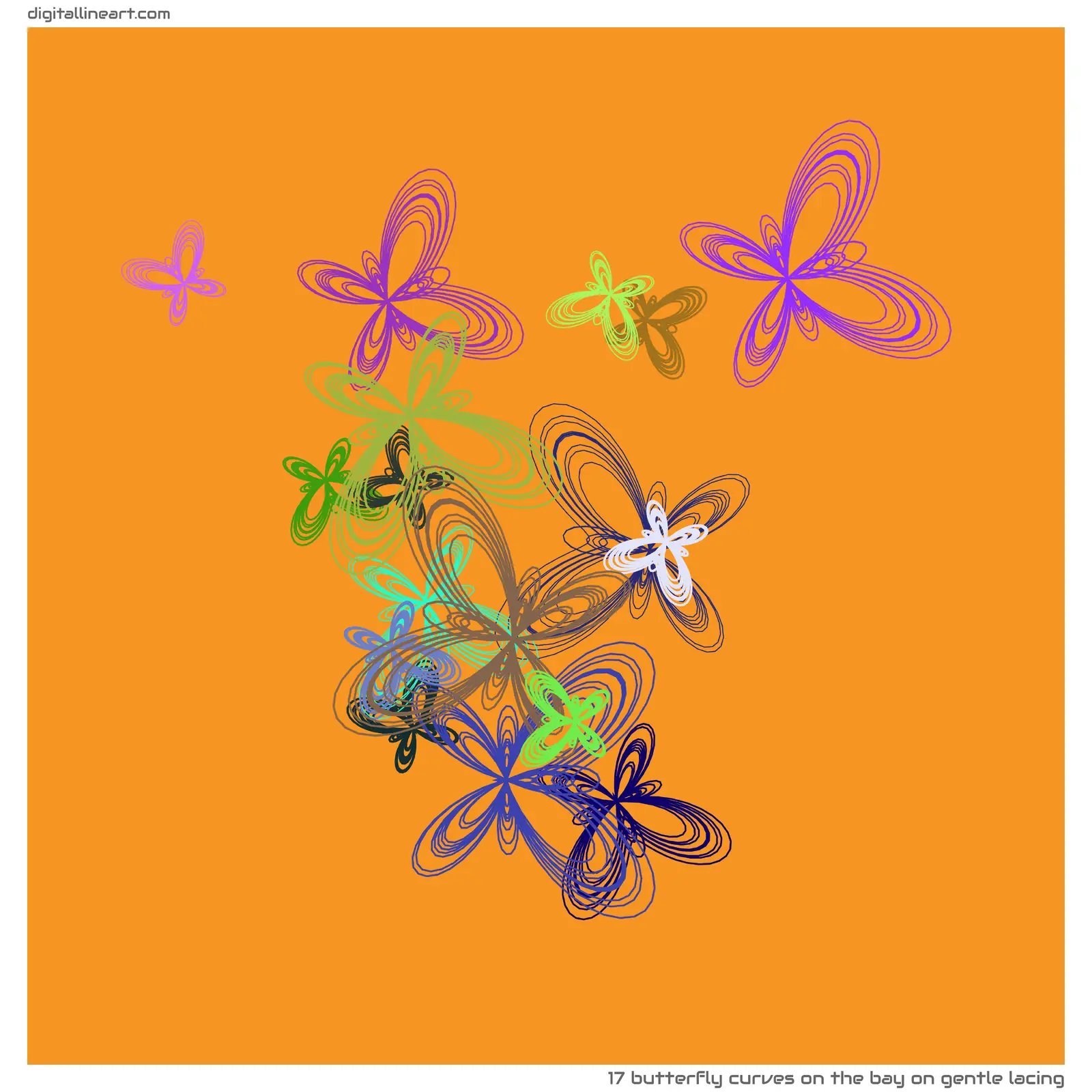 The Bay on Gentle Lacing — 17 butterfly curves
