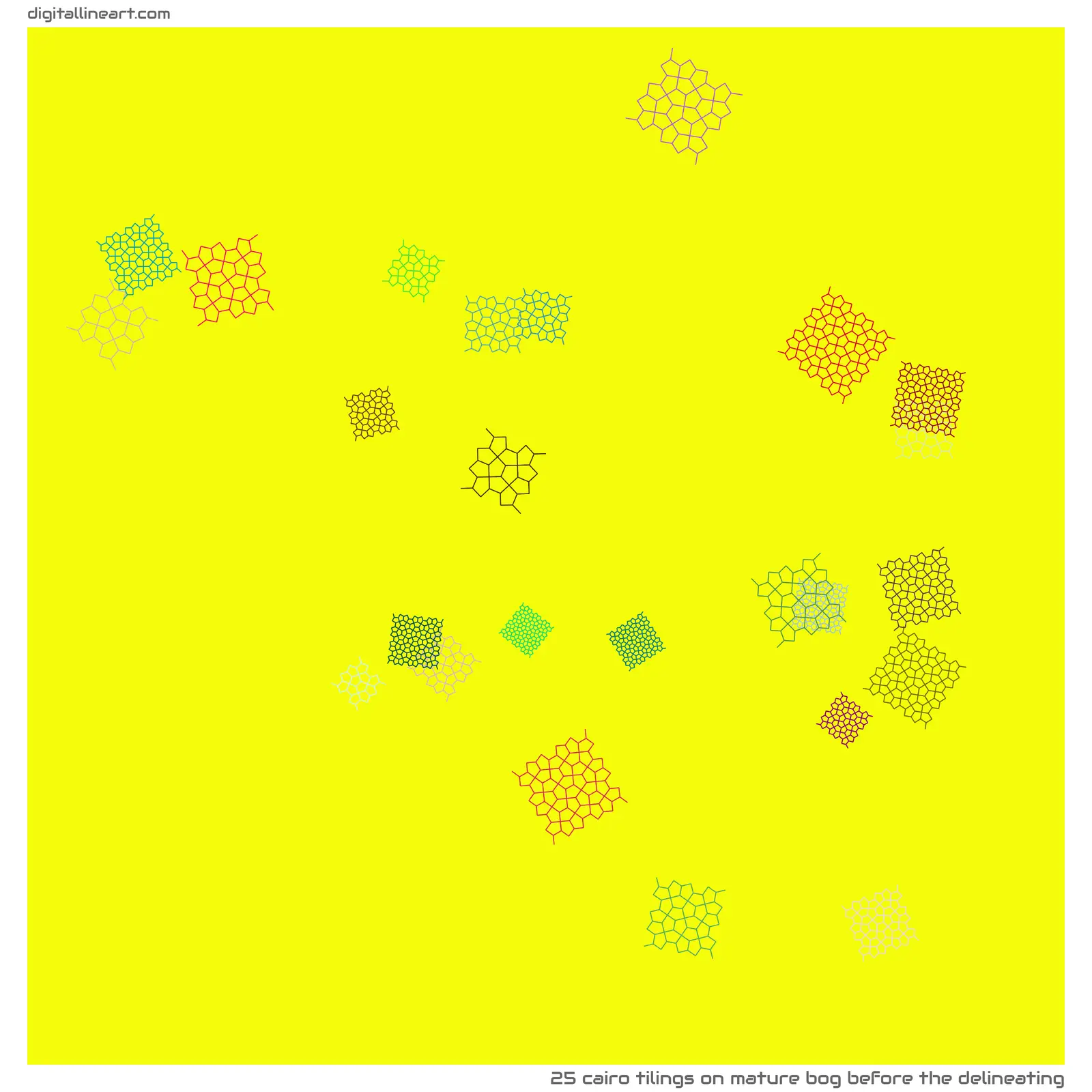 Mature Bog before the Delineating — 25 Cairo tilings