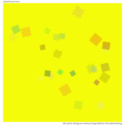 Mature Bog before the Delineating — 25 Cairo tilings