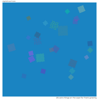 The Cape for Frank Growing — 25 Cairo tilings