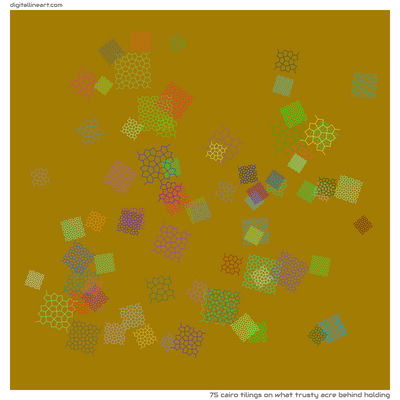 What Trusty Acre behind Holding — 75 Cairo tilings