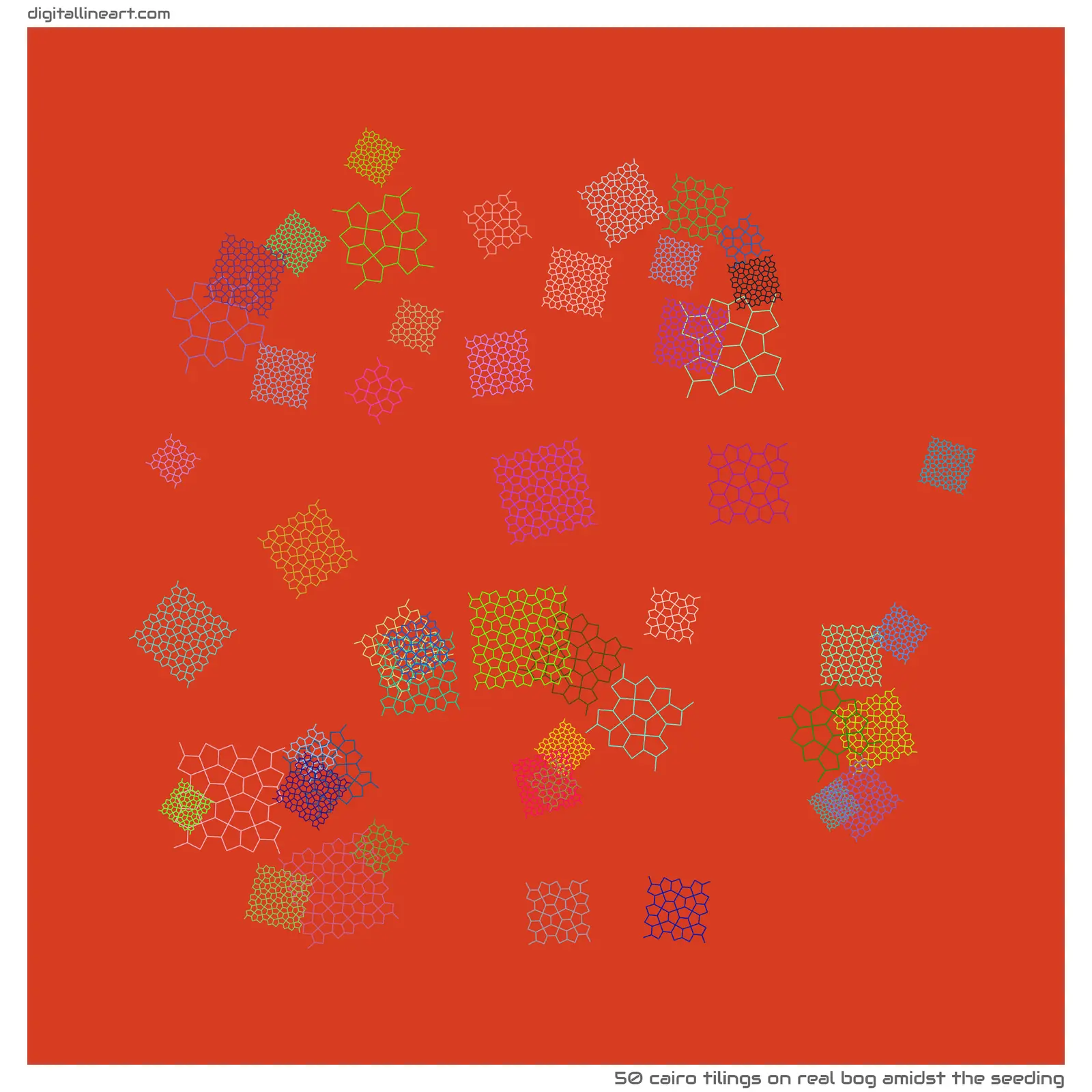 Real Bog amidst the Seeding — 50 Cairo tilings