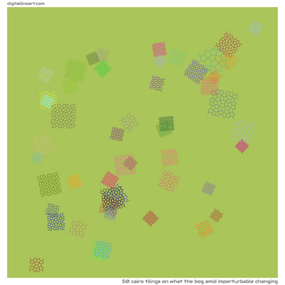 What the Bog amid Imperturbable Changing — 50 Cairo tilings