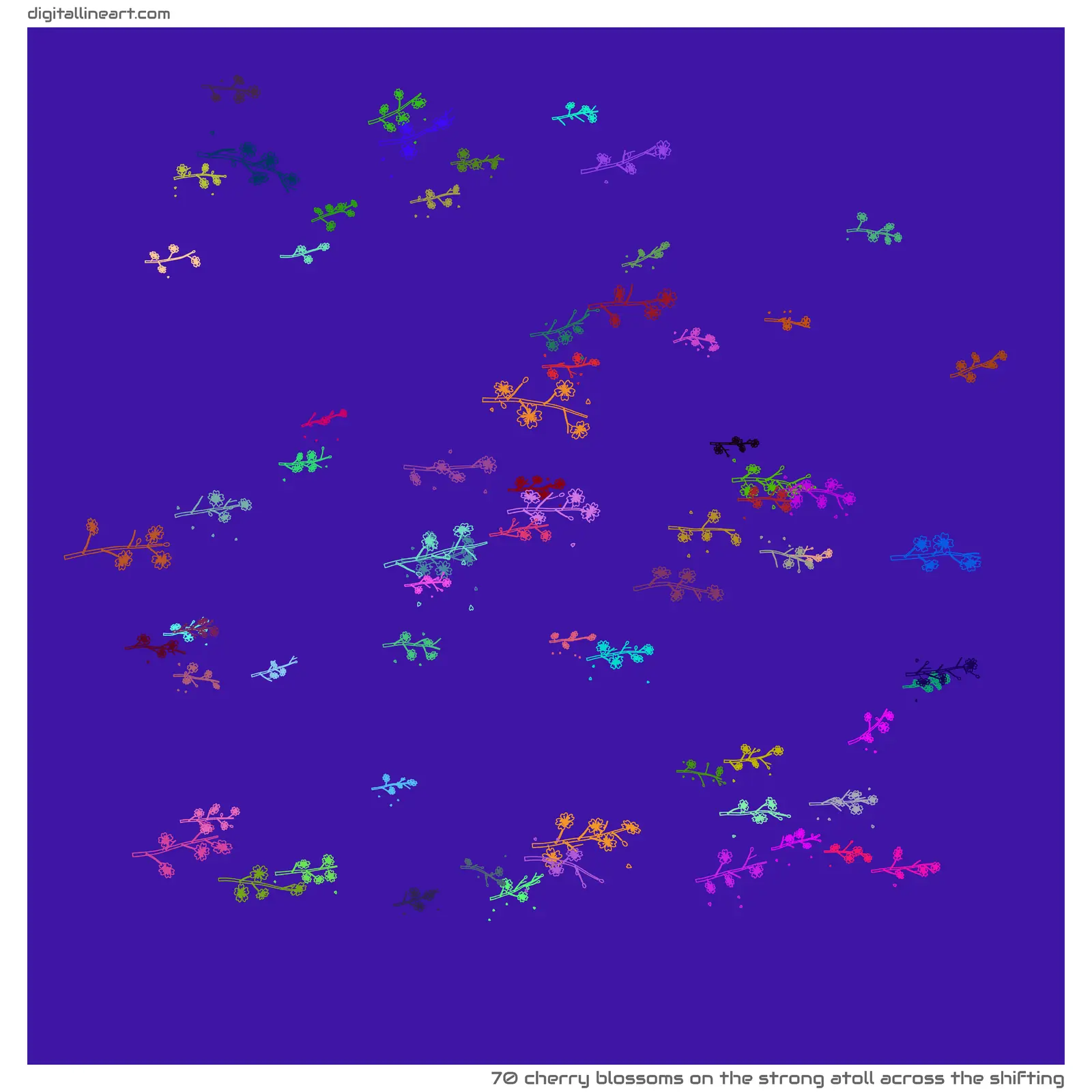 The Strong Atoll across the Shifting — 70 cherry blossoms