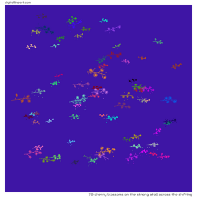The Strong Atoll across the Shifting — 70 cherry blossoms