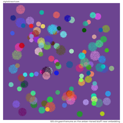 The Amber-toned Bluff near Embedding — 125 chrysanthemums