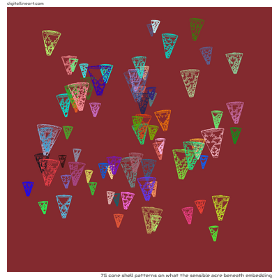 What the Sensible Acre beneath Embedding — 75 cone shell patterns