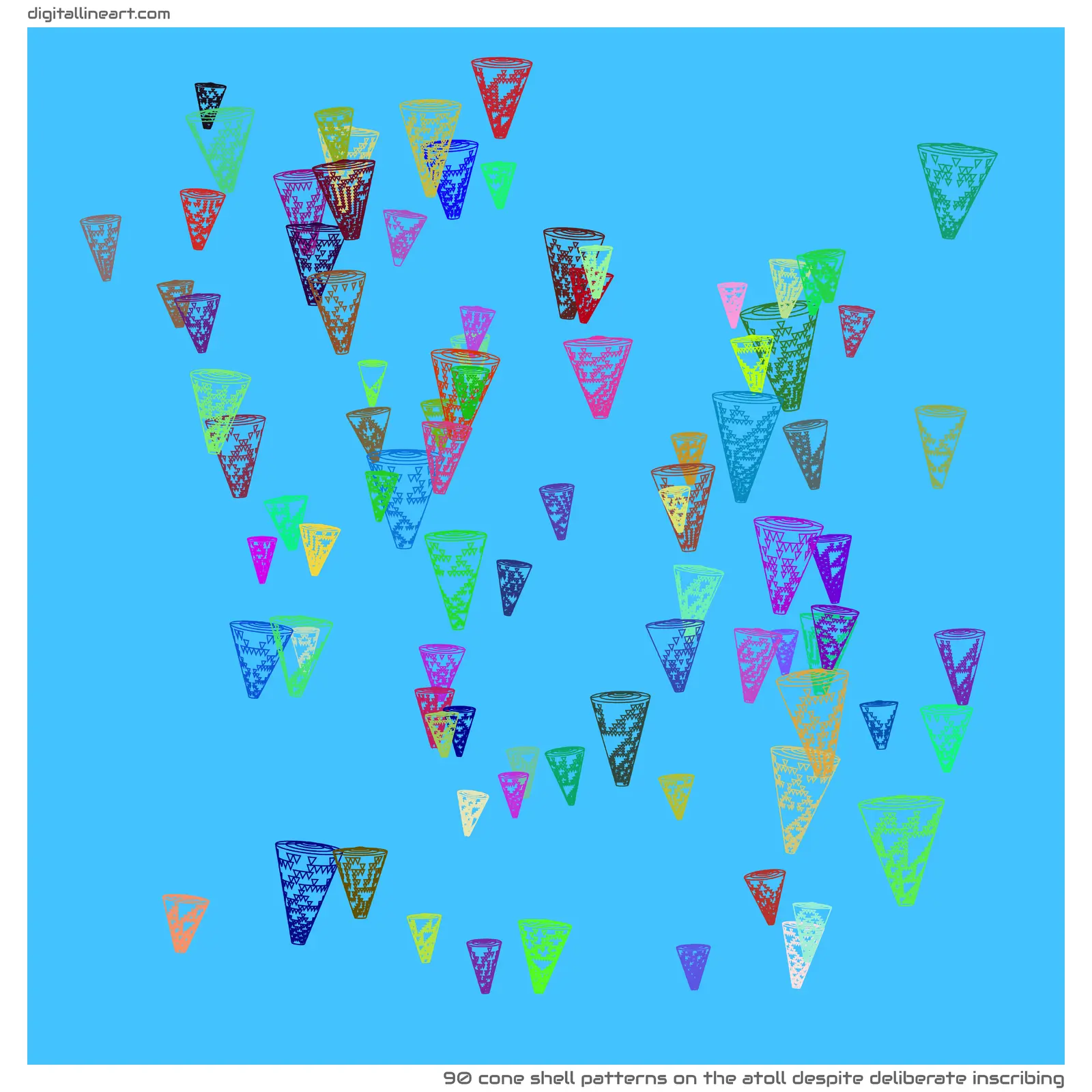 The Atoll despite Deliberate Inscribing — 90 cone shell patterns