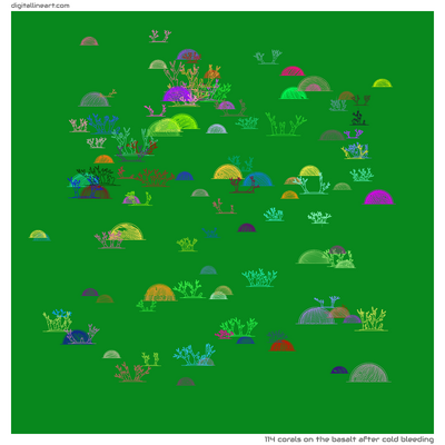 The Basalt after Cold Bleeding — 114 corals
