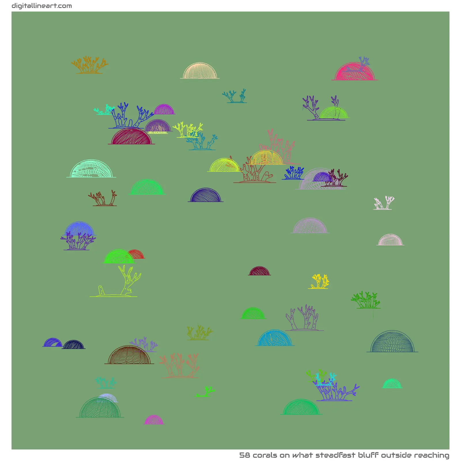 What Steadfast Bluff outside Reaching — 58 corals