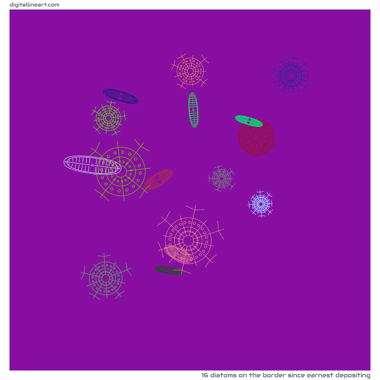 The Border Since Earnest Depositing — 16 diatoms