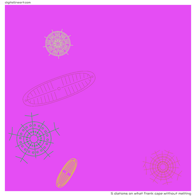 What Frank Cape without Melting — 5 diatoms