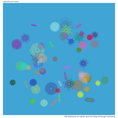 What Sienna Bog through Echoing — 58 diatoms