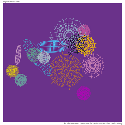 Reasonable Basin under the Reckoning — 14 diatoms