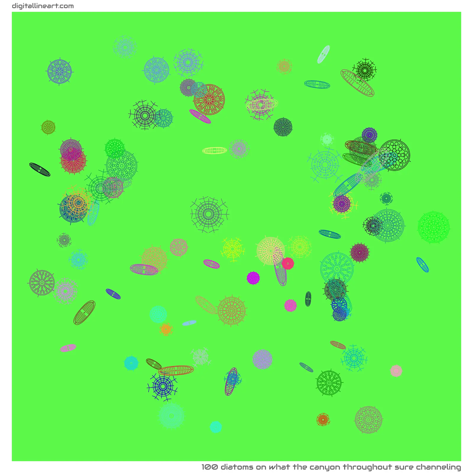 What the Canyon throughout Sure Channeling — 100 diatoms