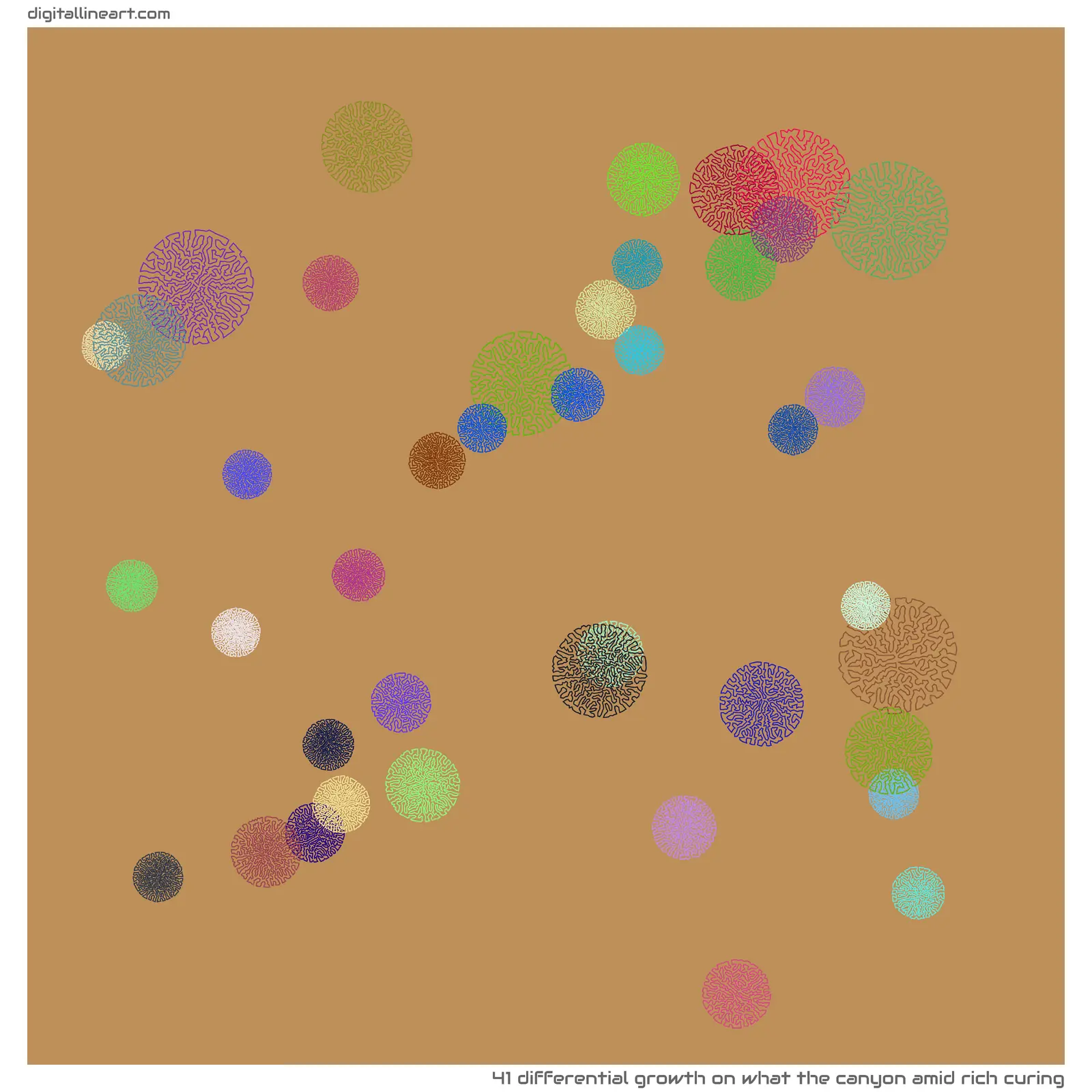 What the Canyon amid Rich Curing — Differential Growth, 41 elements