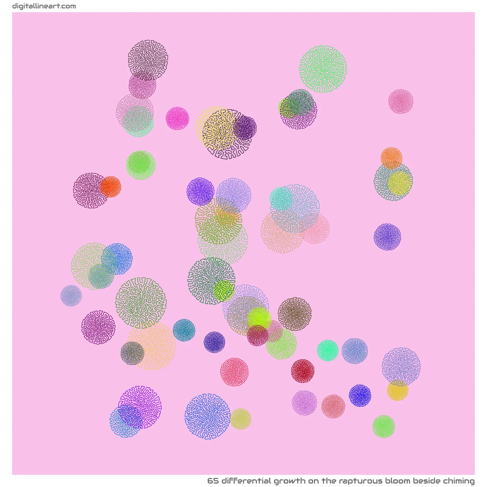 The Rapturous Bloom beside Chiming — Differential Growth, 65 elements