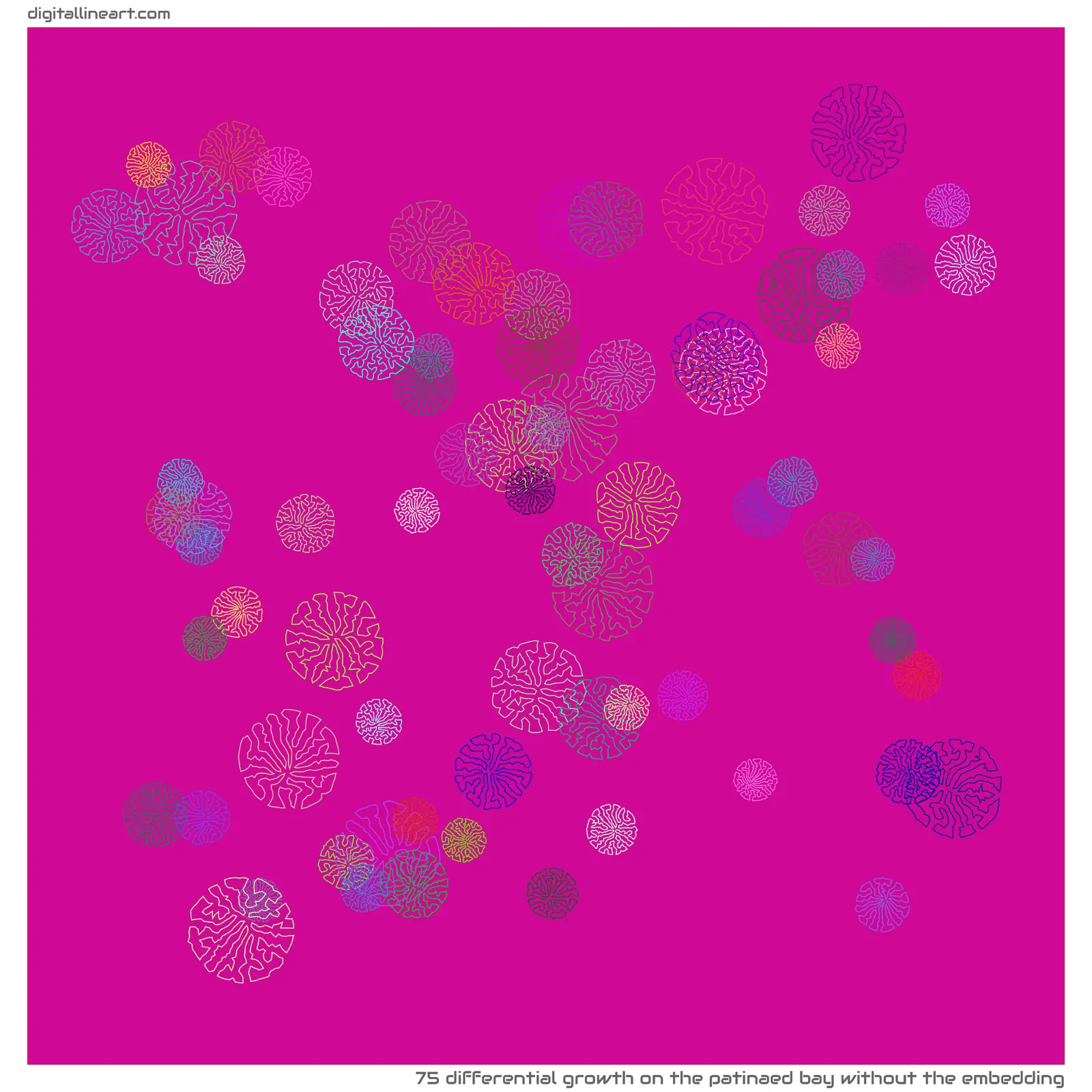 The Patinaed Bay without the Embedding — Differential Growth, 75 elements