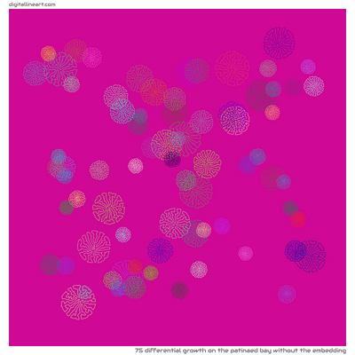 The Patinaed Bay without the Embedding — Differential Growth, 75 elements