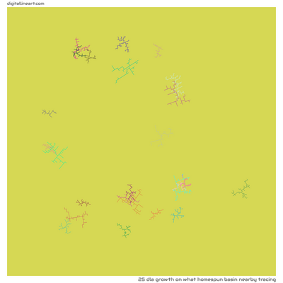 What Homespun Basin nearby Tracing — DLA Growth, 25 elements