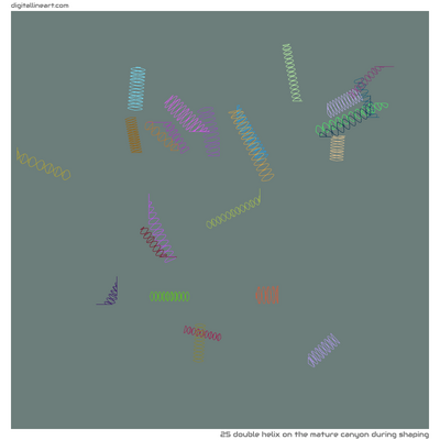 The Mature Canyon During Shaping — Double Helix, 25 elements