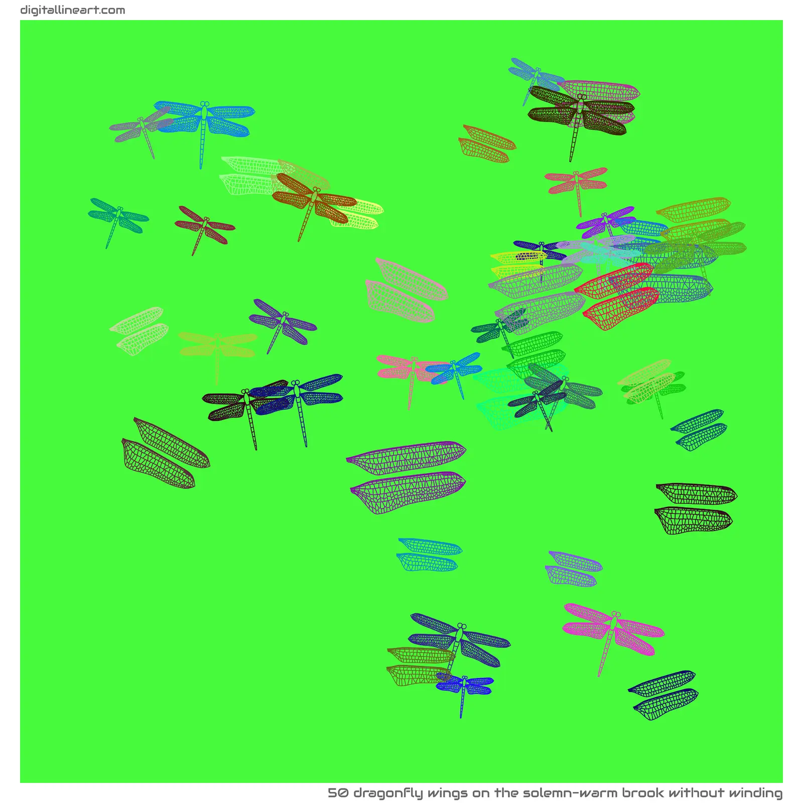 The Solemn-warm Brook without Winding — 50 dragonfly wings